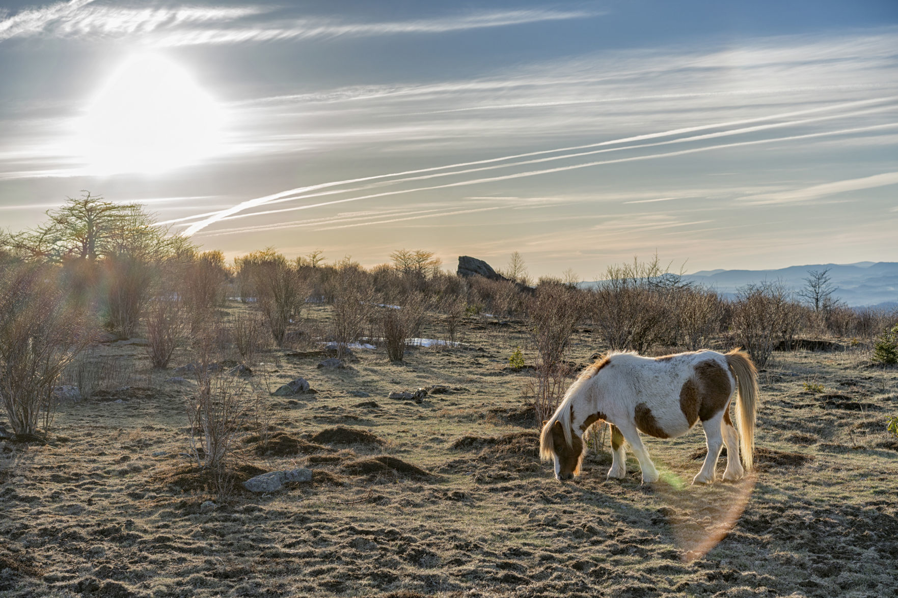 Scenic Virginia, March 31, 2018